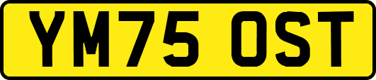 YM75OST