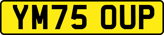 YM75OUP