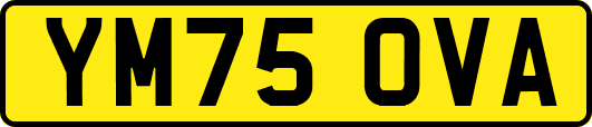 YM75OVA