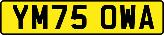 YM75OWA