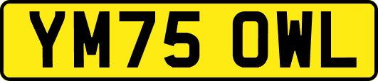 YM75OWL