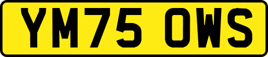 YM75OWS