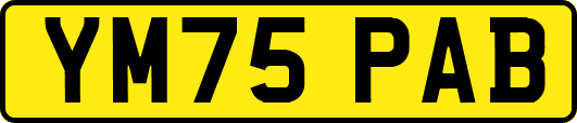 YM75PAB