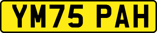 YM75PAH