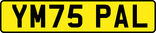 YM75PAL