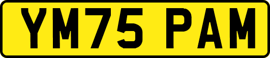 YM75PAM