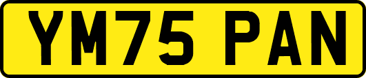 YM75PAN