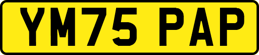 YM75PAP