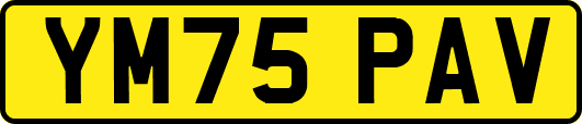 YM75PAV