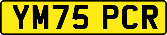 YM75PCR