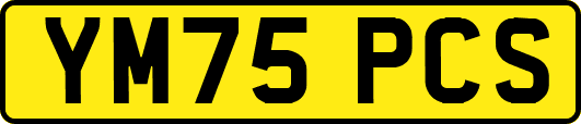 YM75PCS
