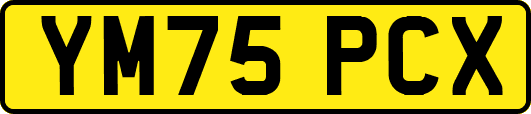 YM75PCX