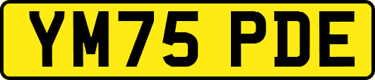 YM75PDE