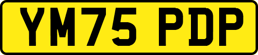 YM75PDP