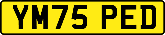 YM75PED