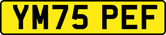 YM75PEF