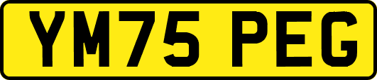 YM75PEG