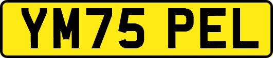 YM75PEL