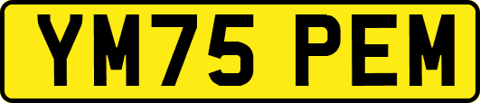 YM75PEM