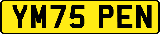 YM75PEN