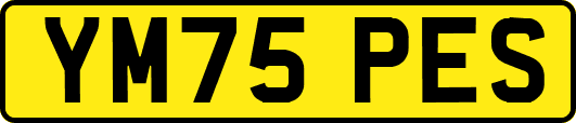 YM75PES