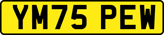 YM75PEW