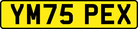 YM75PEX