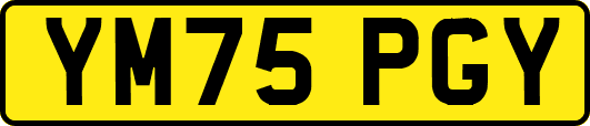 YM75PGY