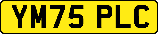 YM75PLC