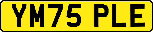 YM75PLE
