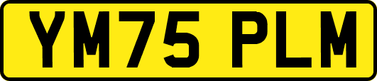 YM75PLM