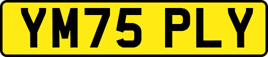 YM75PLY