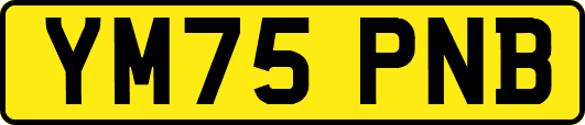 YM75PNB