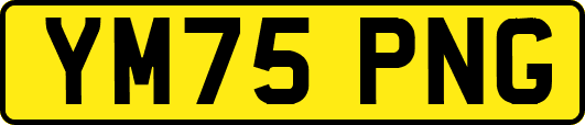 YM75PNG