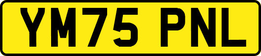 YM75PNL