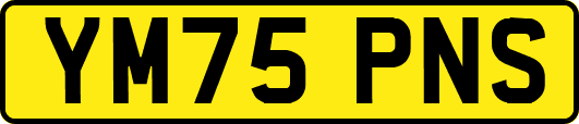 YM75PNS