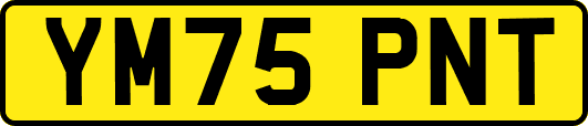 YM75PNT