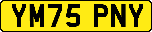 YM75PNY