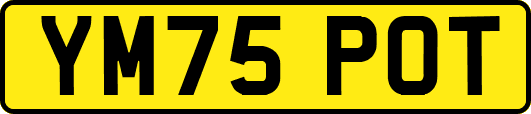 YM75POT
