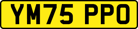 YM75PPO