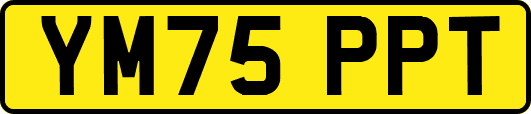 YM75PPT