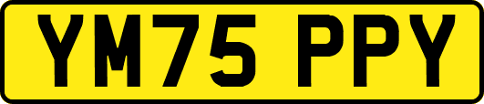 YM75PPY