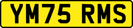 YM75RMS