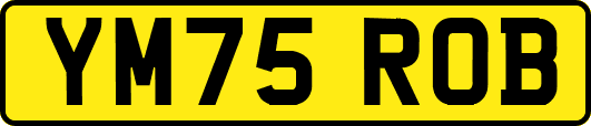 YM75ROB