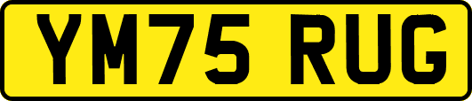 YM75RUG