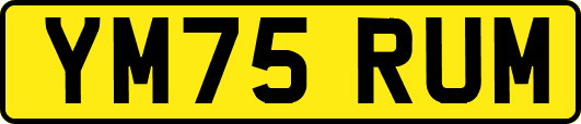 YM75RUM