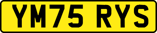 YM75RYS