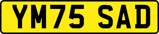 YM75SAD