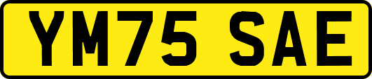 YM75SAE