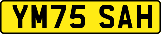 YM75SAH